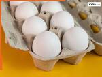 अब बिना एक्सपायरी डेट के नहीं बिकेंगे अंडे, इस राज्य में लागू हुआ नया नियम