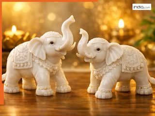 Vastu tips: सफेद हाथी घर में रखने से क्या सच में बदलती है किस्मत? जानें इसका आध्यात्मिक रहस्य