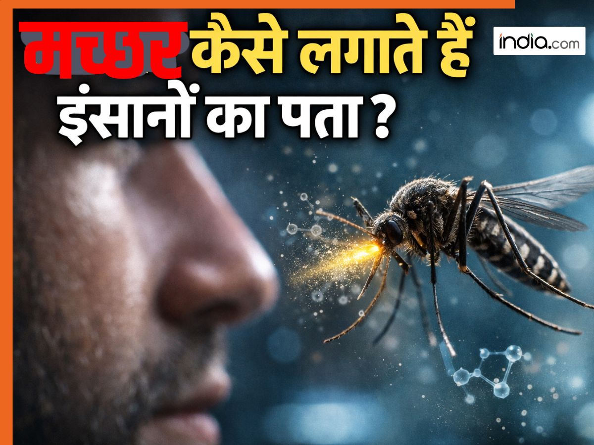 Science Hath Par Insect मच्छर कैसे तलाशते हैं अपना खाना? वैज्ञानिकों ने जो पता लगाया- जानकर आप ...