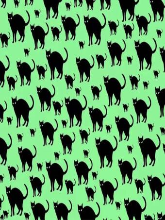 बिल्लियों की भीड़ में कहीं छिप गया है चूहा, खोजो तो जानें