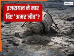 क्या इजरायल ने मार दिए 'अमर जीव'? पृथ्वी से 3.84 लाख किमी दूर क्या हुआ? दुनिया भर के वैज्ञानिक परेशान