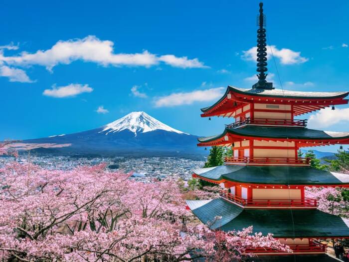 Tokyo fp
