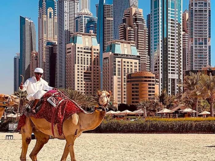 Wealth migration dubai