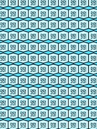 5151 की भीड़ में छिपा है 5131, ढूंढने वाला वाकई चैंपियन होगा