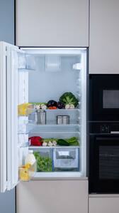 Compact Refrigerator for Home Kitchen