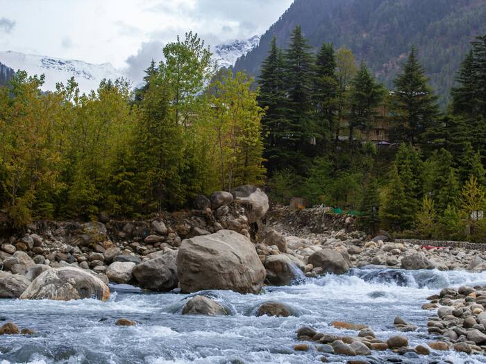 Ecological restoration
