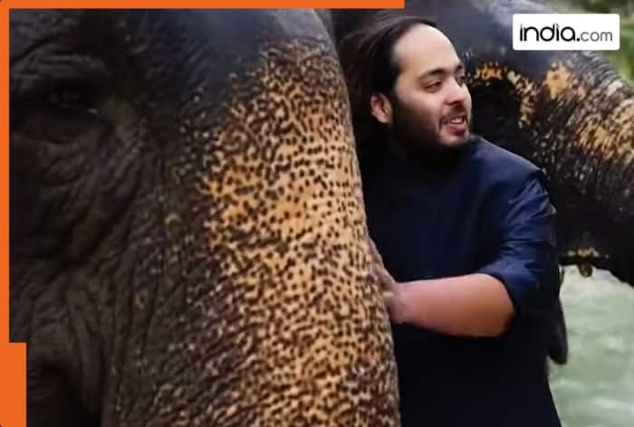 Anant Ambani, Animal Welfare, Matheran, Horses, Vantara