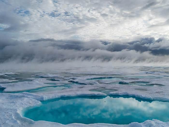 Arctic