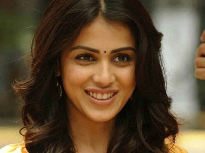 Genelia D Souza networth