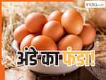 यहां अंडा है लोगों के लिए 'खजाना'! आखिर इस राज्य में इतने अंडे कहां से आते हैं? यहां होता है सबसे ज्यादा Egg प्रॉडक्शन