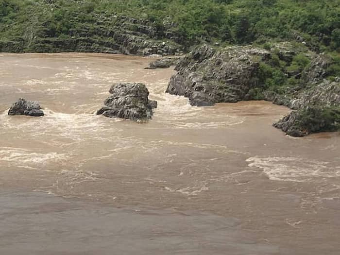 Narmada river news