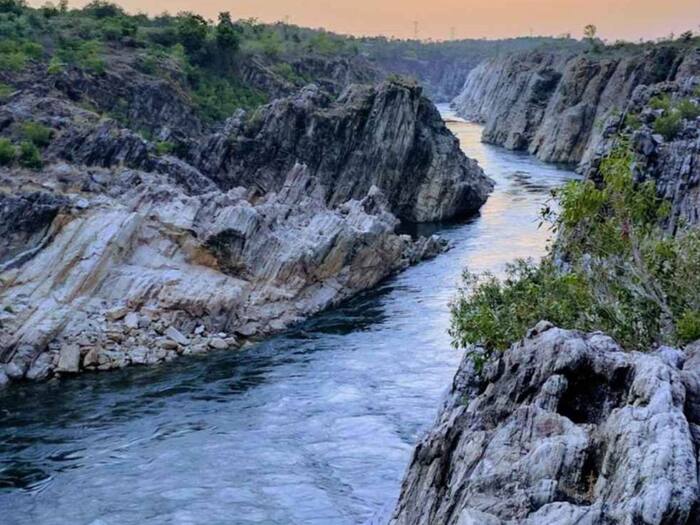 11000 liter milk Narmada river