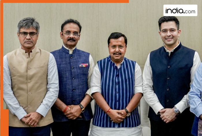 Did Raghav Chadha lose 10 lakh Instagram followers in 24 hours after BJP switch? Former AAP leader past videos go viral too