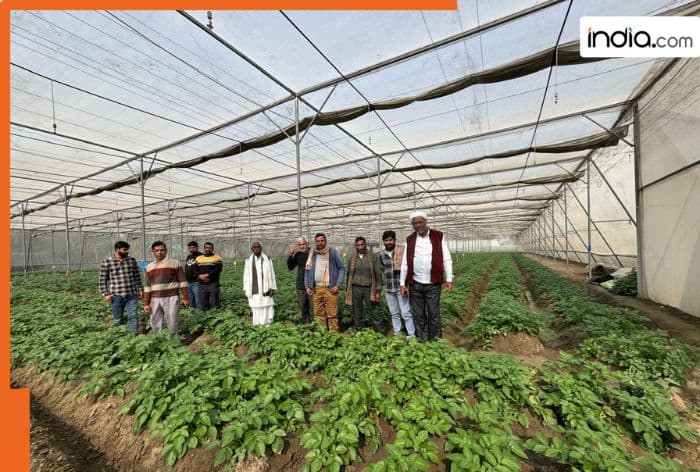 Young scientist from Etawah achieves breakthrough! 27-year-old produces super potato seeds in a lab