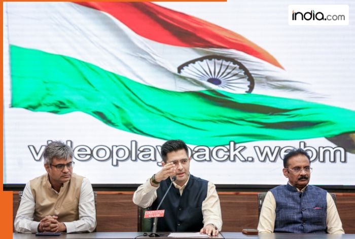 Big blow to AAP: Raghav Chadha, 6 Rajya Sabha MPs merge with BJP. Who are they?