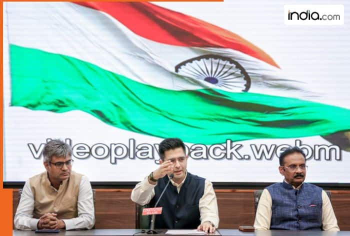 Big blow to AAP: Raghav Chadha, 6 Rajya Sabha MPs merge with BJP. Who are they?