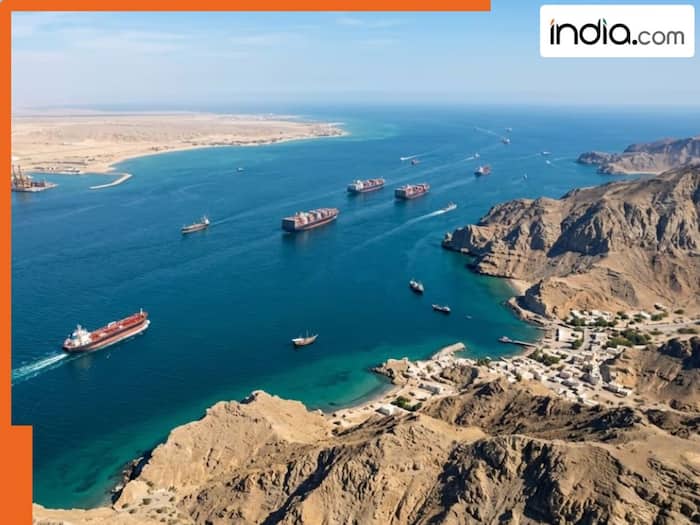 'Strait of Hormuz isn't social media': Iran takes a funny dig at Trump's statement on blocking sea route