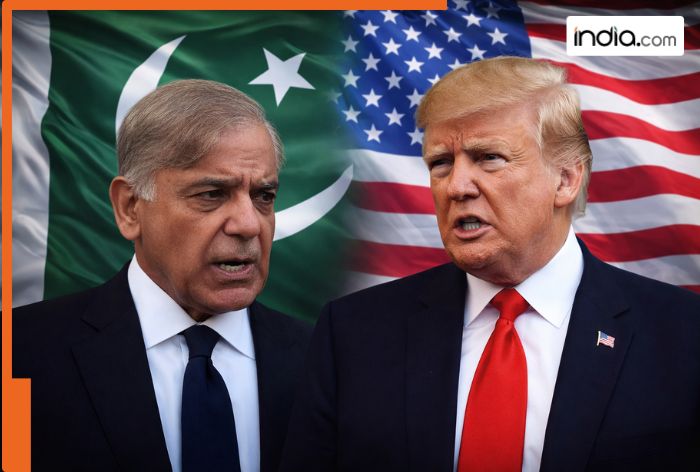 Is Pakistan facing a deep economic crisis due to the US-Iran war? Shehbaz Sharif gives major update, reveals extent of setback