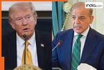 US-Iran conflict: Did Trump extend Iran ceasefire at Pakistan’s request? US President says,' Asim Munir and Shehbaz Sharif...'