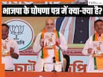West Bengal Assembly Elections 2026: भाजपा ने जारी किया घोषणा पत्र, जानिए क्या वादे किए, नाम दिया 'भरोसा पत्र'