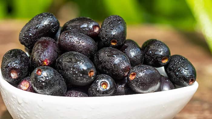 Jamun to control sugar blood level