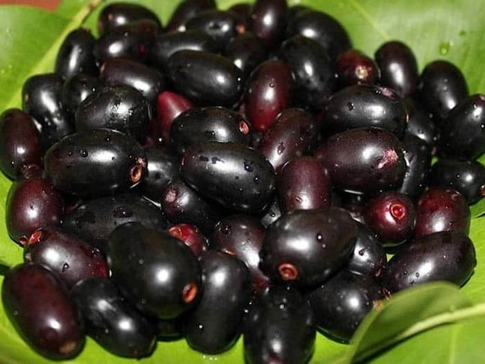 Jamun to control sugar blood level