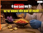 भारत में तेजी से बढ़ रहा 'रेड गोल्ड' का बाजार! कीमत 3 लाख रुपये किलो, आप घर पर कर सकते हैं इसे तैयार