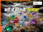 देश की इस नदी से निकलता है बेशकीमती 'रत्न', एक भी मिल गया तो हो जाएंगे मालामाल!
