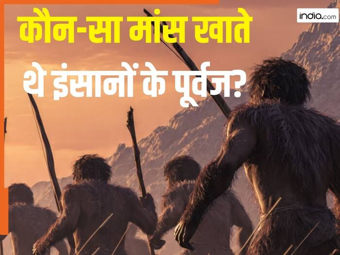 What ancient Human ate