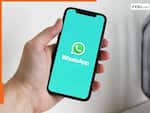 YouTube की तरह WhatsApp से भी कमा सकेंगे पैसा! कंपनी ला रही नया फीचर, जानिए कैसे बनेगा चैनल