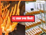 घर पर कैसे उगाएं 2 लाख रुपये किलो बिकने वाला कीड़ा जड़ी मशरूम? जानें Step By Step तरीका