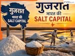 नमक का बादशाह कहलाता है ये राज्य, बिना इसके फीका पड़ जाएगा भारत का स्वाद