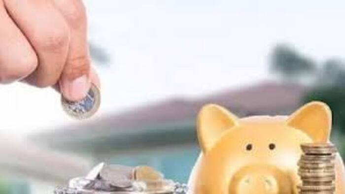 Voluntary Provident Fund