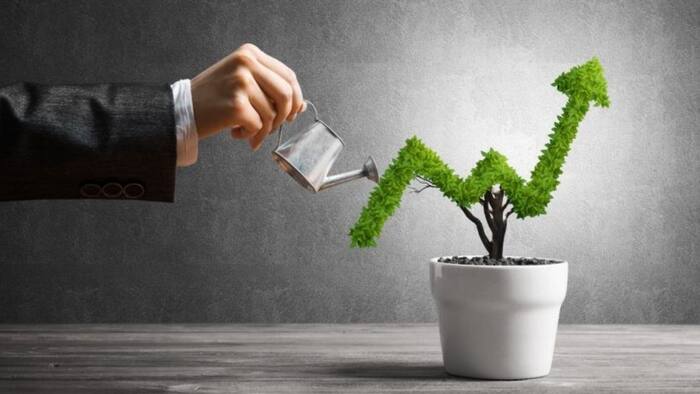 Voluntary Provident Fund
