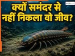 43 करोड़ साल पहले भारत से 12500 किलोमीटर दूर रहता था ऐसा अद्भुत जीव, जिसके पास थे पांव, पर नहीं निकला कभी समंदर से बाहर