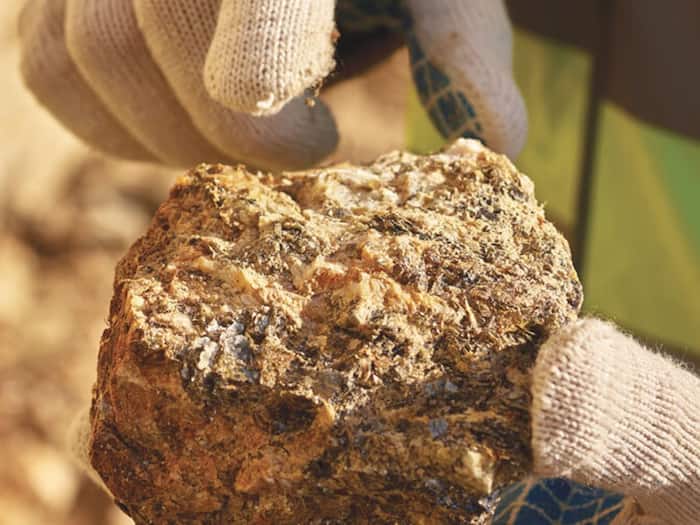 Rare Earth Elements