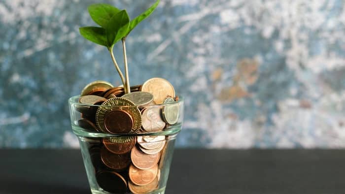 Voluntary Provident Fund