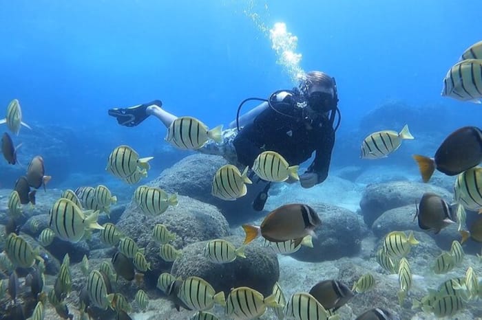 Which Is The Best Place For Scuba Diving In India
