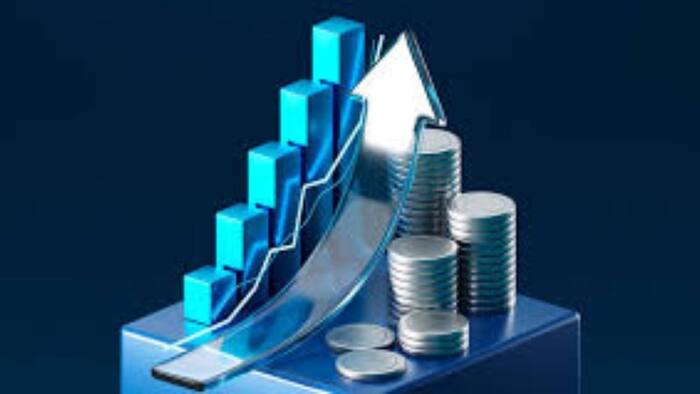 Voluntary Provident Fund