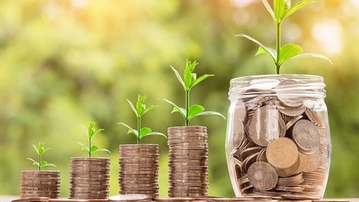 Voluntary Provident Fund