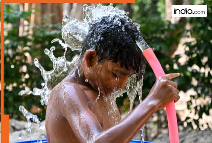 Districts in Uttar Pradesh become furnaces, temperatures touching almost 50 degrees in Banda and Prayagraj