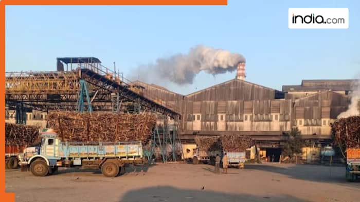 Good news for farmers as Gujarat government grants approval to sugarcane prices paid by sugar cooperative societies