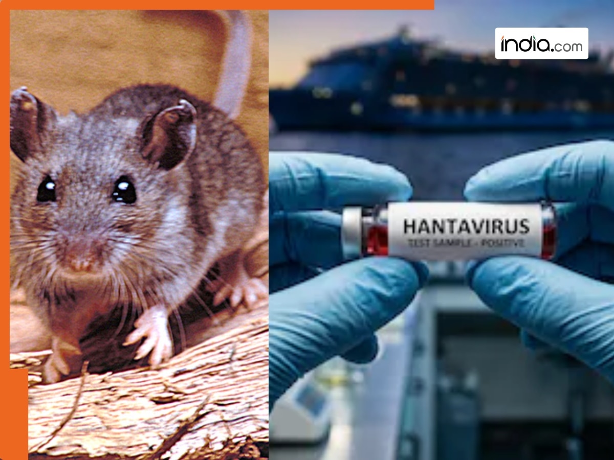 Hantavirus, Hantavirus symptoms, hantavirus symptoms and effects