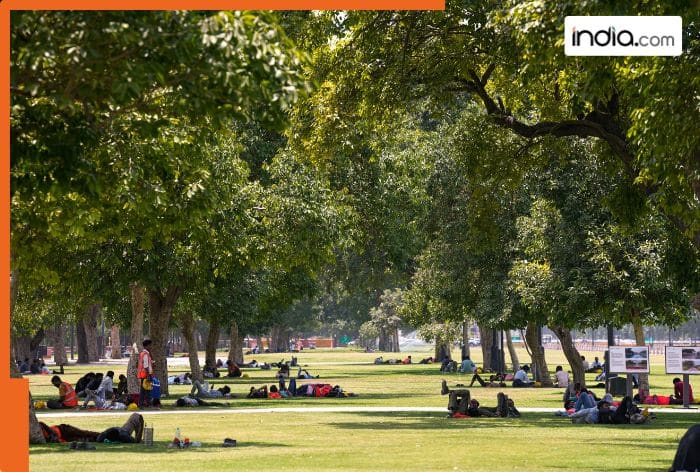 Delhi Heatwave Update: National Capital records above-normal minimum temperature of 28.4 degree celsius