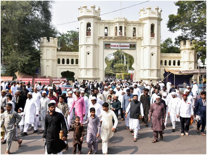 Islamic Law News