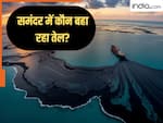 बूंद-बूंद पेट्रोल के लिए तरस रही दुनिया, लेकिन समंदर में रोज करोड़ों का तेल फेंक रहा ये देश, वजह जान अमेरिका को कोसेंगे आप
