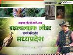 टाइगर स्टेट से वाइल्डलाइफ लीडर बनने की ओर मध्य प्रदेश... जानें CM मोहन यादव की अगुवाई में राज्य कैसे हासिल कर रहा ये मुकाम
