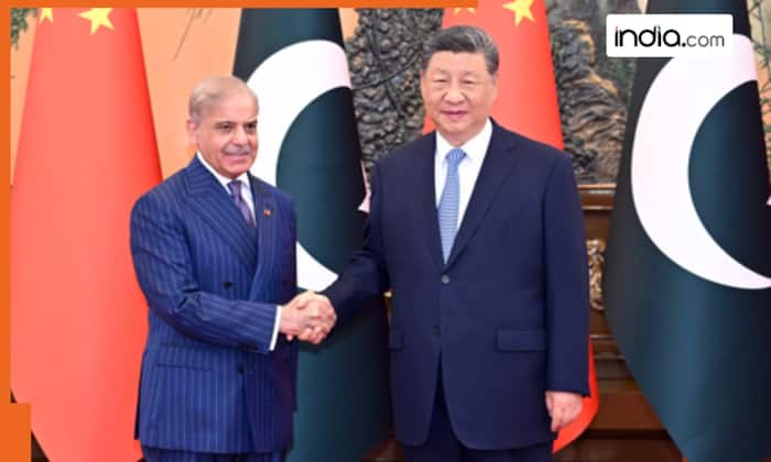 'J-K, Ladakh integral and inalienable parts of India': India rejects unwarranted references to Indian territory in China-Pakistan joint statement