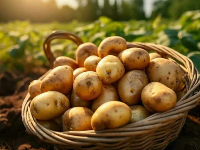 Potatoe