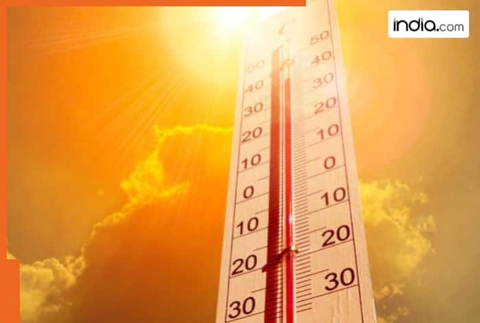 Chityala, Andhra Pradesh, highest temperature, New Delhi, Amaravati, Uttar Pradesh, Prayagraj, severe heatwave, East Godavari, State Disaster Management Authority, SDMA, Tanuku, West Godavari